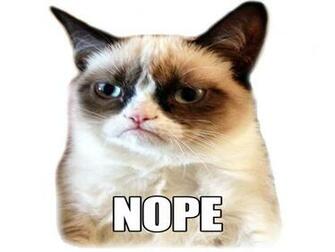Cat Meme Quote Funny Humor Grumpy Wallpaper