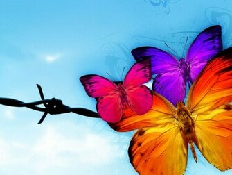Papillon Wallpaper