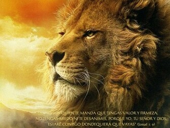 Aslan And Bible Wallpaper Christian Background