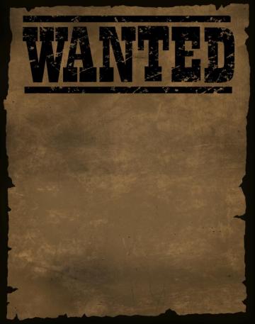 Best Criminal Background Minds