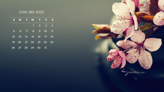 January Calendar Wallpaper HD