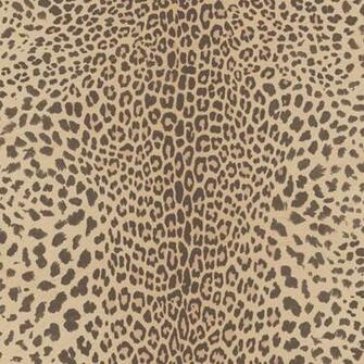 Graham Brown Leopard Print Pattern Animal Skin Glitter