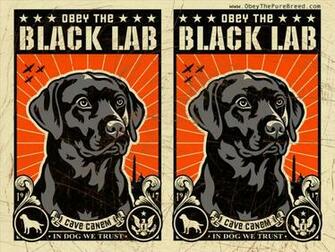 Black Wallpaper HD Lab