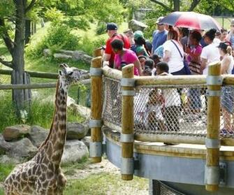 Akron And Cleveland Zoos Juggle Needs Of Animals A Fickle Public