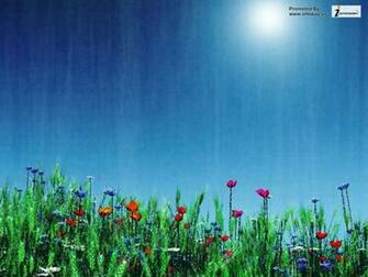 Beautiful Flower Scenery Wallpaper