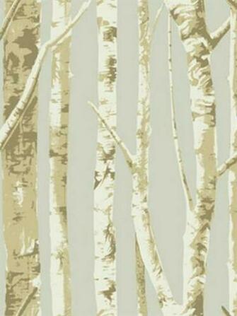 Home Wallpaper Contemporary Birch Trees