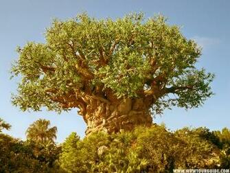 The Tree Of Life