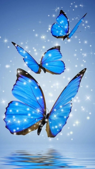 Wallpaper iPhone Blue Butterfly Resolution