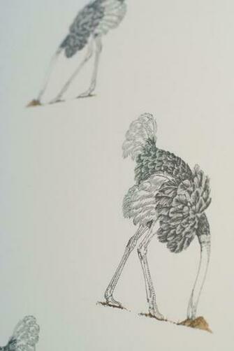 Ostrich Wallpaper By Beware The Moon Eclectic Other