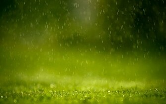 Spring Rain Wallpaper