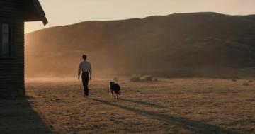 When Revenge Leads To Peace In Power Of The Dog Los Angeles Times