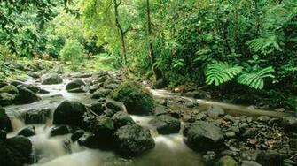 Tahiti Waterfalls Wallpaper