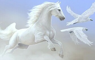 Beautiful Horse Horses Wallpaper