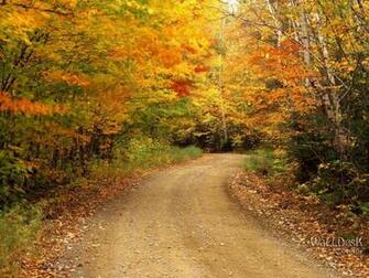 Beautiful Autumn Season Wallpaper HD Nice
