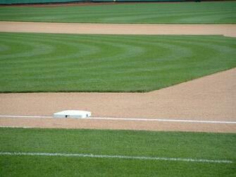 Baseball Background Sports Unbiased