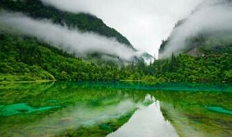 HD Nature Image Wallpaper Of Natures Organic Fresh Air