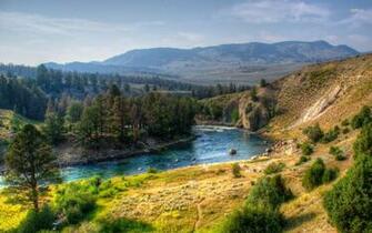 Yellowstone National Park Wallpaper Nature