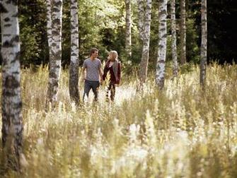 Wallpaper Love Boy Girl Forest Birch