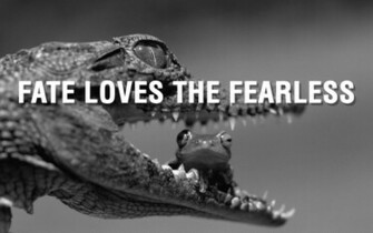 Fate Loves The Fearless Wallpaper