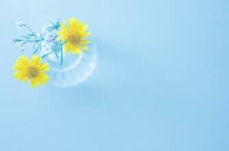 Wallpaper Flowers Yellow Blue Bowl Vase
