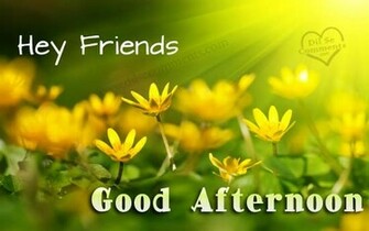 Good Afternoon Pictures Image Greetings Scraps For