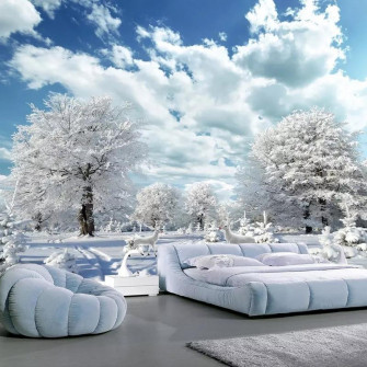 Winter Scene With White Clouds And Blue Sky Wallpaper Mural