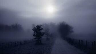 Trees Fog Wallpaper