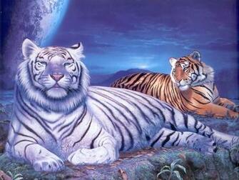 Tigers Desktop Wallpaper Jpg