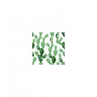Watercolor Cactus Wallpaper Abstract Murals Anewall