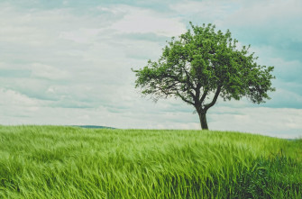 Scenery Wallpaper HD Hq