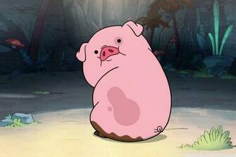 Cute Funny Piggy 4k HD Desktop Wallpaper For Ultra Tv