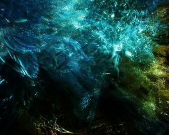 Digital Background For Your Photography And Portrait Needs