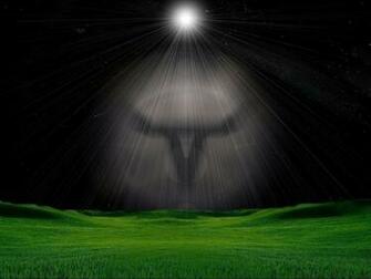 Image On Heart Longhorn Wallpaper