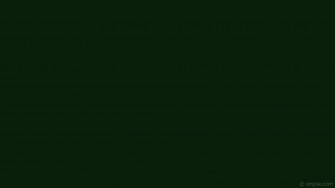 Dark Plain Green Wallpaper