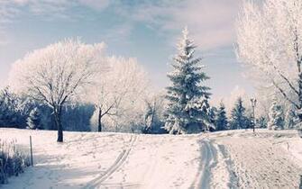 Pics Photos Winter Wonderland Background Wallpaper