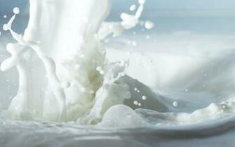 File Milk Wallpaper 5l5o5uj Jpg Wallpaperexpert