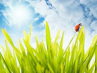 Kids Under Spring Wallpaper For Desktop