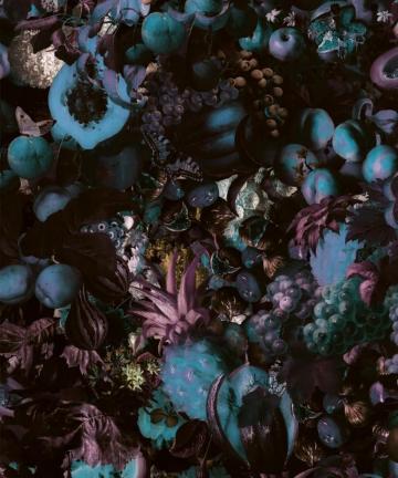 Fruitta Wallpaper Delicious Fruit Floral Milton King