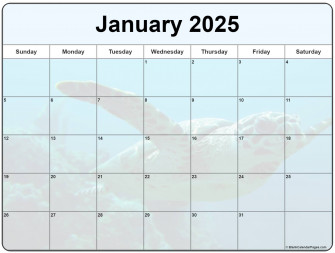 Collection Of January Photo Calendars With Image Filters Wallpaper