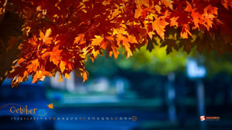 Fall Colors Wallpaper