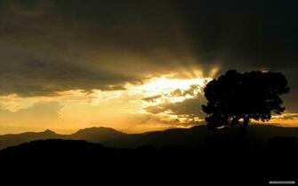 Wallpaper Nature Sunshine And Trees