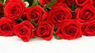 Red Roses Desktop Pc And Mac Wallpaper