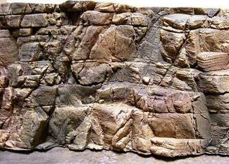 3d Background Aquarium Rock3