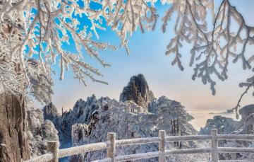 Wallpaper Winter Snow Trees Landscape Mountains Branches