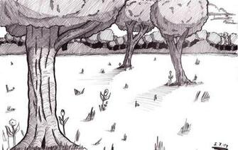 Forest Drawing Background By Rookiemangaka Traditional Art Drawings