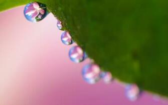 Cool Spring Wallpaper Px HDwallsource