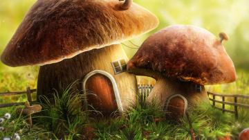 Wallpaper Mushroom House Door Art Full HD