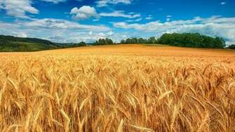 Here We Provide Beautiful And HD Wallpaper 4k All
