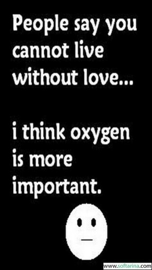 Funny Quotes Wallpaper Screen Resolution Mobile
