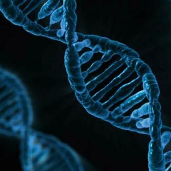 Dna Double Helix Car Pictures